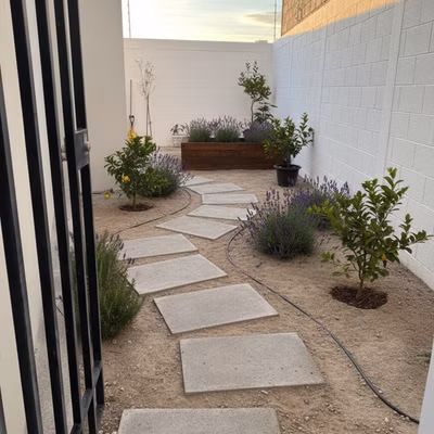 Quiero un jardín de bajo mantenimiento, con piedra... - Quiero un jardín de bajo mantenimiento, con piedra piñón en el piso, pastelones de cemento para hace... Diseño de jardín urban: Quiero un jardín de bajo mantenimiento, con piedra...