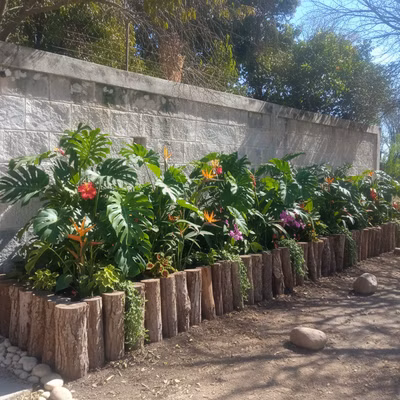 Coloca una jardinera en toda la extensión de la pa... - Coloca una jardinera en toda la extensión de la pared, bordeado de troncos. Utiliza vegetación para ... Diseño de jardín tropical: Coloca una jardinera en toda la extensión de la pa...