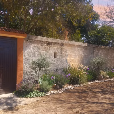 Coloca un diseño campestre con plantas de poco rie... - Coloca un diseño campestre con plantas de poco riego. Coloca iluminación que acompañe al jardín y lo... Diseño de jardín mediterranean: Coloca un diseño campestre con plantas de poco rie...