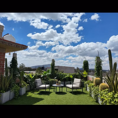 Pasto, muebles, follaje y cactus - Pasto, muebles, follaje y cactus Diseño de jardín urban: Pasto, muebles, follaje y cactus