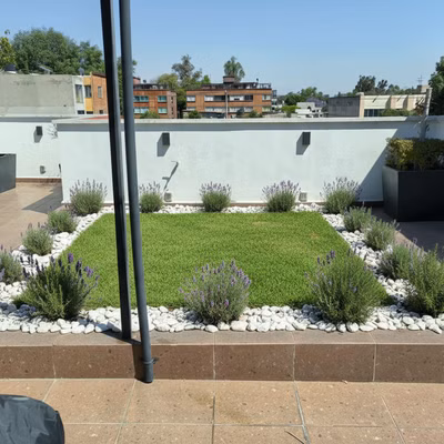 marco de piedras blanca con algunas plantas de lav... - marco de piedras blanca con algunas plantas de lavanda y romero y en el centro pasto Diseño de jardín desert: marco de piedras blanca con algunas plantas de lav...